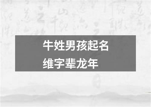 牛姓男孩起名维字辈龙年