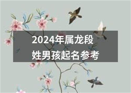 2024年属龙段姓男孩起名参考