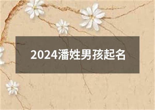 2024潘姓男孩起名