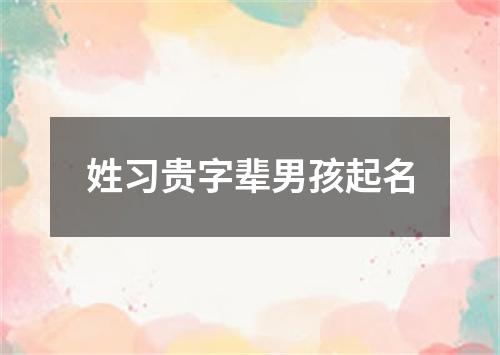 姓习贵字辈男孩起名