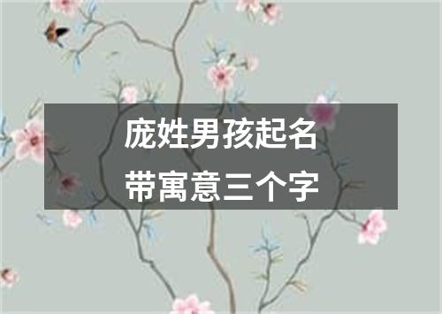 庞姓男孩起名带寓意三个字