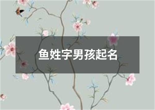 鱼姓字男孩起名