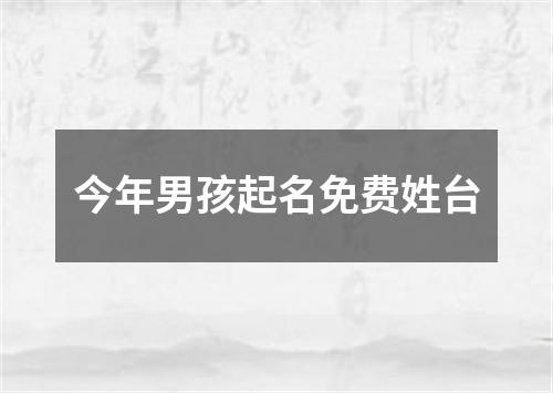 今年男孩起名免费姓台