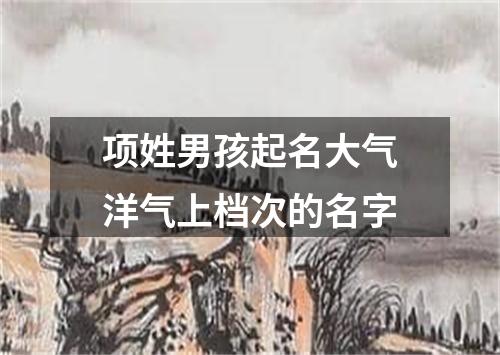 项姓男孩起名大气洋气上档次的名字