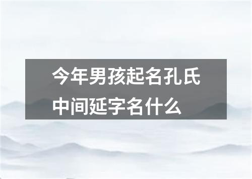 今年男孩起名孔氏中间延字名什么