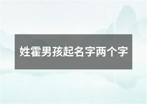 姓霍男孩起名字两个字