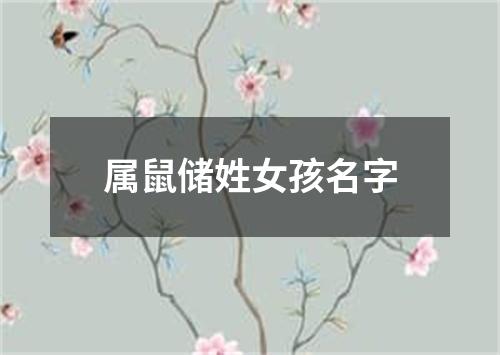 属鼠储姓女孩名字