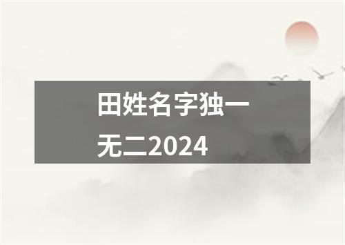 田姓名字独一无二2024