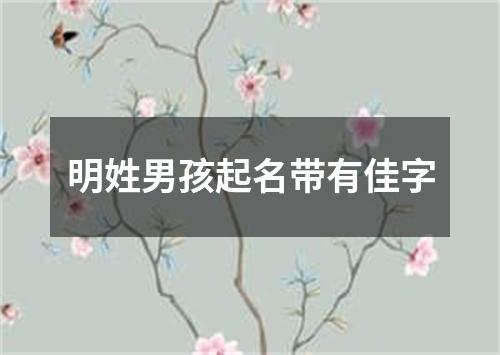 明姓男孩起名带有佳字