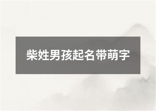 柴姓男孩起名带萌字