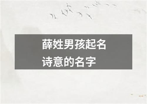 薛姓男孩起名诗意的名字