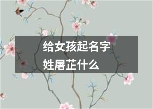 给女孩起名字姓屠芷什么