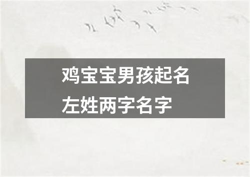 鸡宝宝男孩起名左姓两字名字