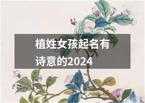 植姓女孩起名有诗意的2024