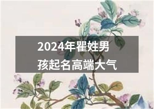 2024年瞿姓男孩起名高端大气