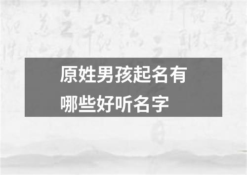 原姓男孩起名有哪些好听名字