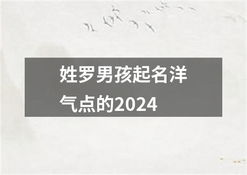 姓罗男孩起名洋气点的2024