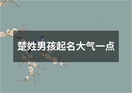 楚姓男孩起名大气一点