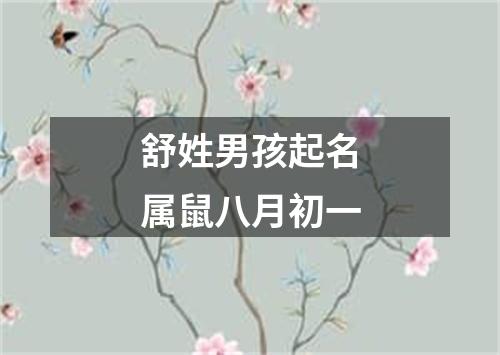 舒姓男孩起名属鼠八月初一