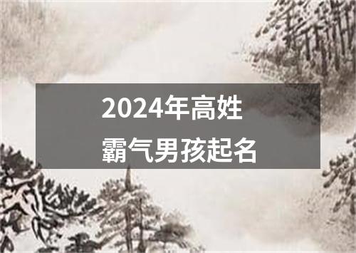 2024年高姓霸气男孩起名