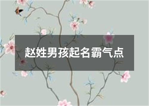 赵姓男孩起名霸气点