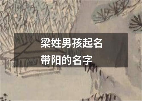 梁姓男孩起名带阳的名字