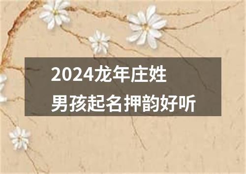 2024龙年庄姓男孩起名押韵好听