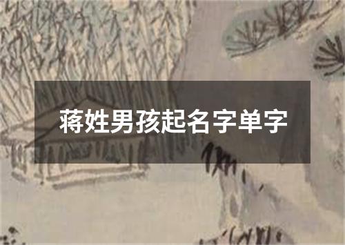 蒋姓男孩起名字单字