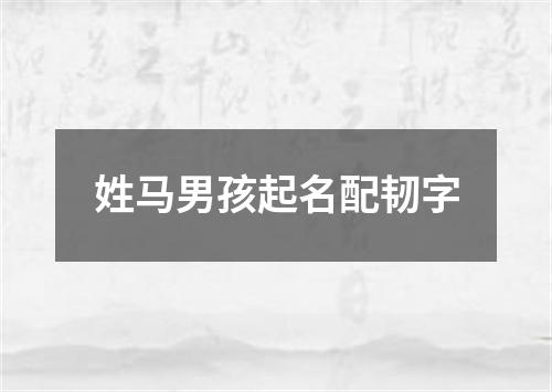 姓马男孩起名配韧字