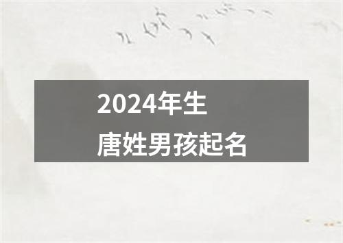 2024年生唐姓男孩起名