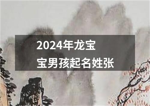 2024年龙宝宝男孩起名姓张