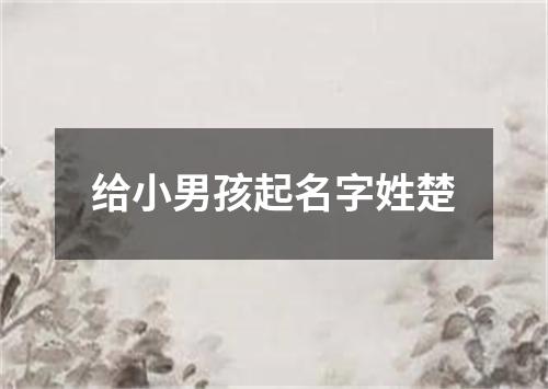 给小男孩起名字姓楚