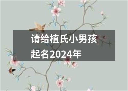 请给植氏小男孩起名2024年