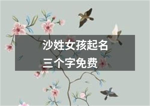 沙姓女孩起名三个字免费