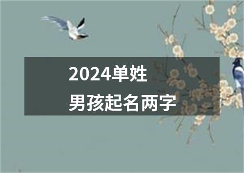 2024单姓男孩起名两字