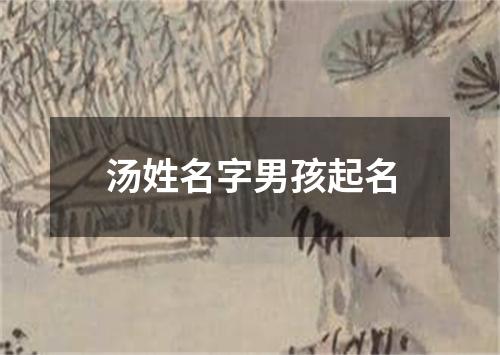 汤姓名字男孩起名