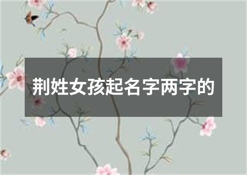 荆姓女孩起名字两字的