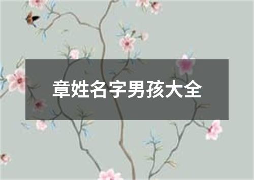 章姓名字男孩大全