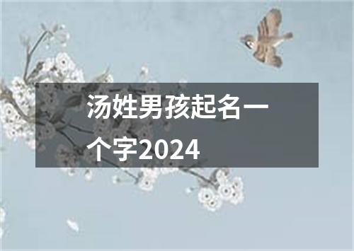 汤姓男孩起名一个字2024