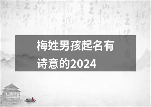 梅姓男孩起名有诗意的2024