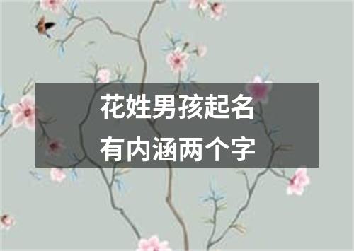 花姓男孩起名有内涵两个字