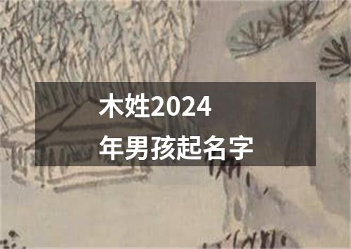 木姓2024年男孩起名字