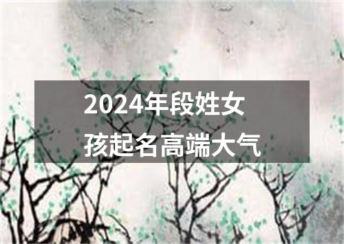 2024年段姓女孩起名高端大气