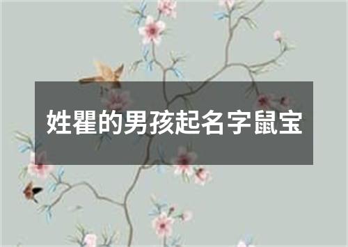 姓瞿的男孩起名字鼠宝