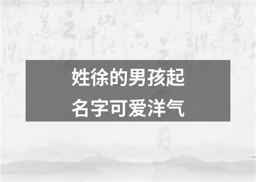 姓徐的男孩起名字可爱洋气