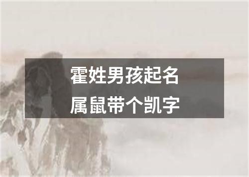 霍姓男孩起名属鼠带个凯字