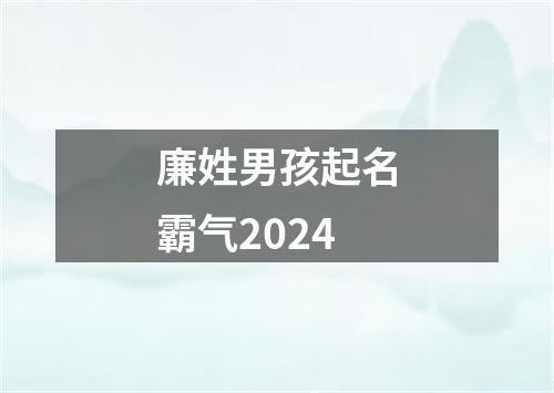 廉姓男孩起名霸气2024