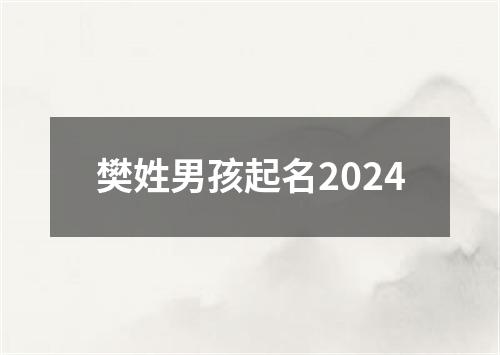 樊姓男孩起名2024