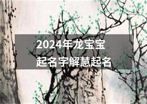 2024年龙宝宝起名字解慧起名