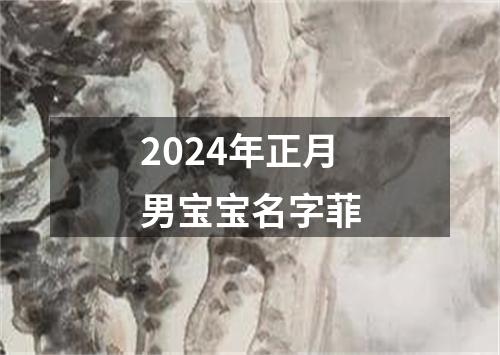 2024年正月男宝宝名字菲